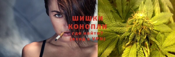 каннабис Белокуриха