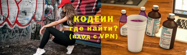 шишки Переславль-Залесский